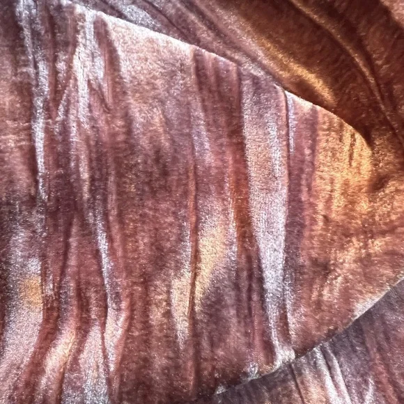 Anthropologie Pilcro Velveteen Mock Neck Pullover Top Size Medium - Picture 5 of 9